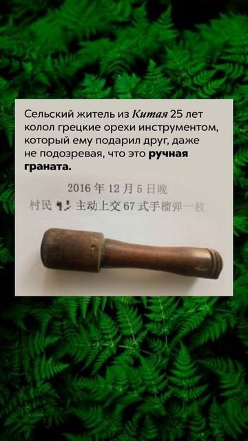 #интересныйфакт #факты #граната #знания #интересно #инт смотреть онлайн