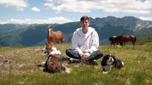 Как отучить собаку лаять от страха 🐶 Лай на людей и зв