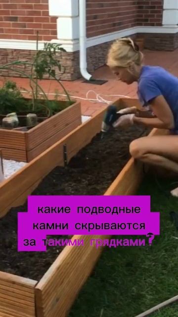 Бюджетные грядки из дкп своими руками #строительство # смотреть онлайн