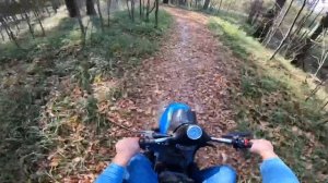 Маленький мотор, который мне нравится. Мотороллер муравей 4т.