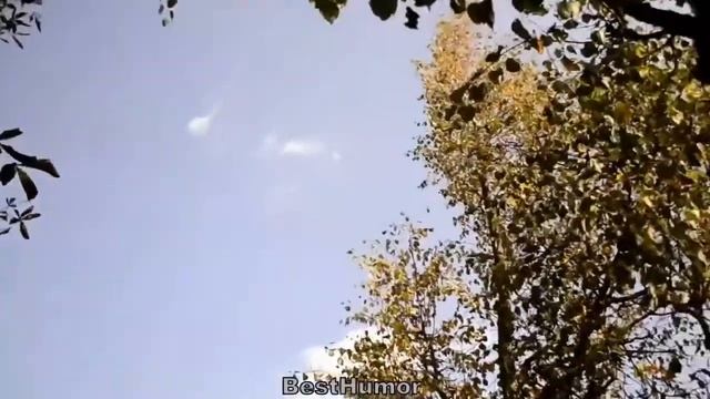 невероятные приколы смотреть онлайн