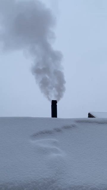 Лайк 👍 и подписку пожалуйста 🙏. Баня в деревне. #рыба? смотреть онлайн