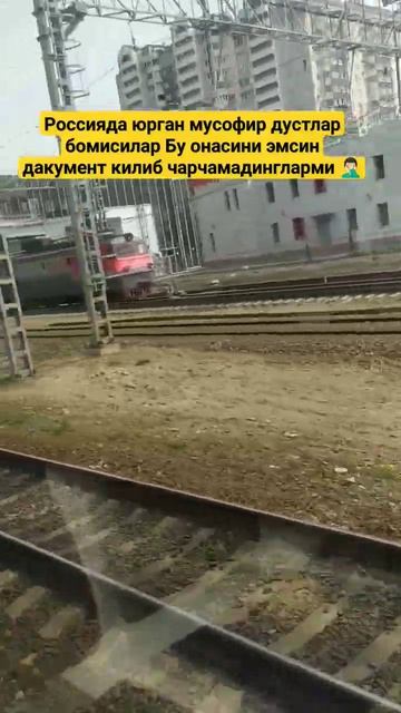 я подарю вам Ландыши песня жёлтые белые синие смотреть онлайн