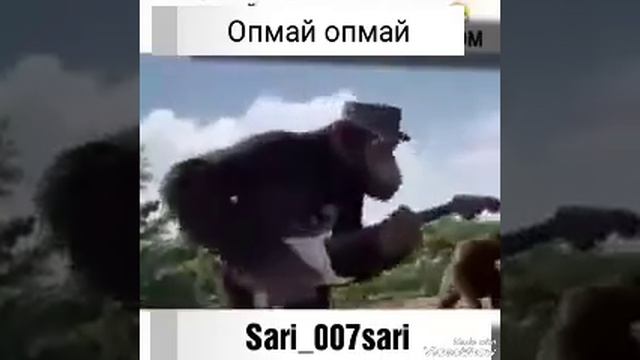 Опмай Опмай Кластастар кайда 2019 хит смотреть онлайн