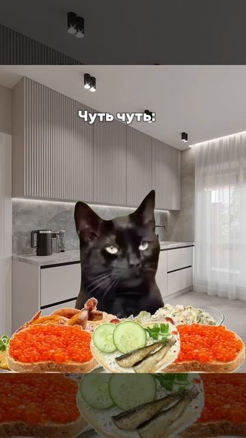 #кот #мем #прикол #cat #новыйгод УРААА ЗАВТРА 31 ДЕКАБРЯ!!! смотреть онлайн
