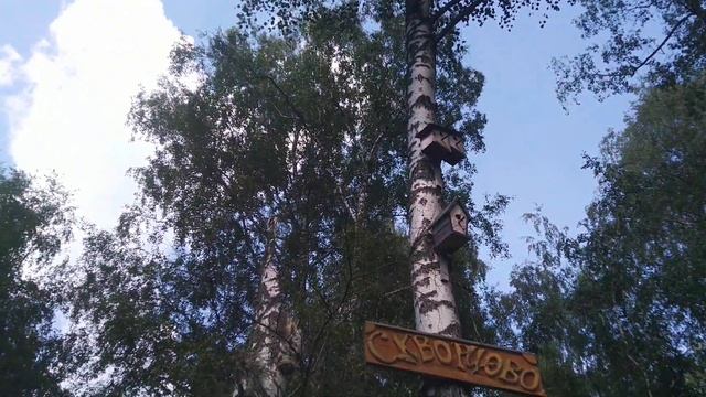 Деревня Скворцово. Московская область. смотреть онлайн