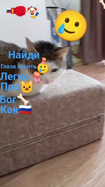 Да я понимаю это очень легко Ну тут есть плюсик вы сами смотреть онлайн
