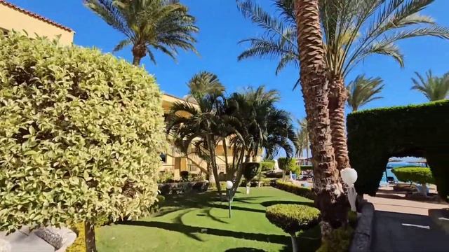 Египет 2025! Sand Beach Resort 3⭐🇪🇬. Хургада.Египет. смотреть онлайн