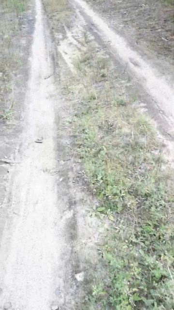 подснежники осенью#осень#погода#север Бурятии#природ? смотреть онлайн