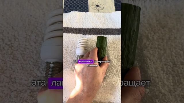 Как продлить срок службы энергосберегающей лампочки #