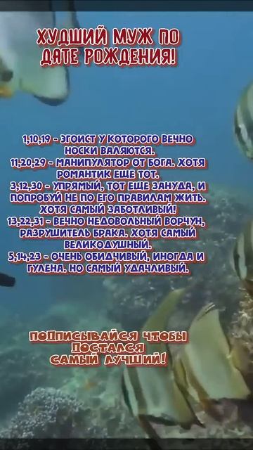 Худший муж по дате рождения Fuel Your Fire #знакизодиака #ас смотреть онлайн