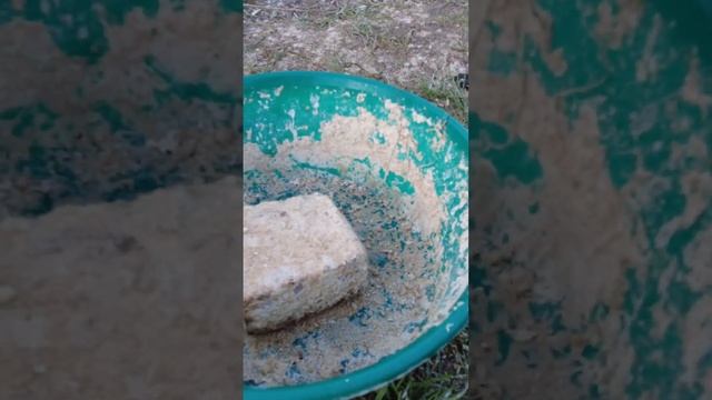 Утки едят котлету! смотреть онлайн