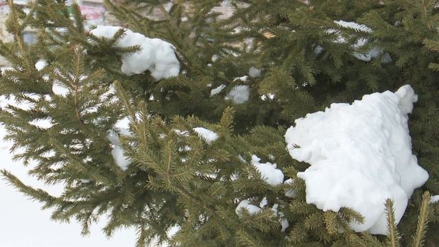 Погода на неделю смотреть онлайн