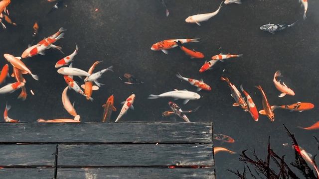 Лучшее что есть в мире !☺️ смотреть онлайн