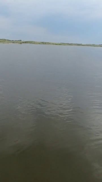 Пассивная щука да джеркбейт. #щука #трофей #трофейнаящ?