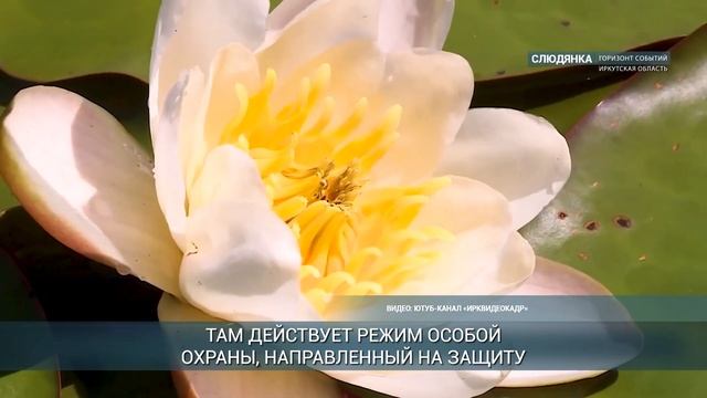 На озере в Слюдянке усилят меры по охране краснокнижн? смотреть онлайн