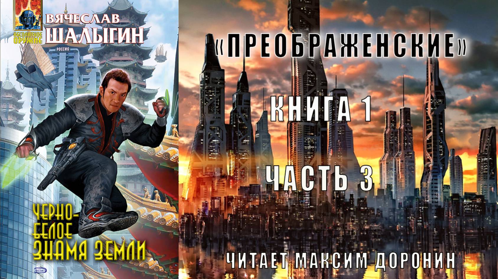 01.03 Вячеслав Шалыгин "Преображенские" (книга 1) "Черно-белое знамя земли" (часть 3)