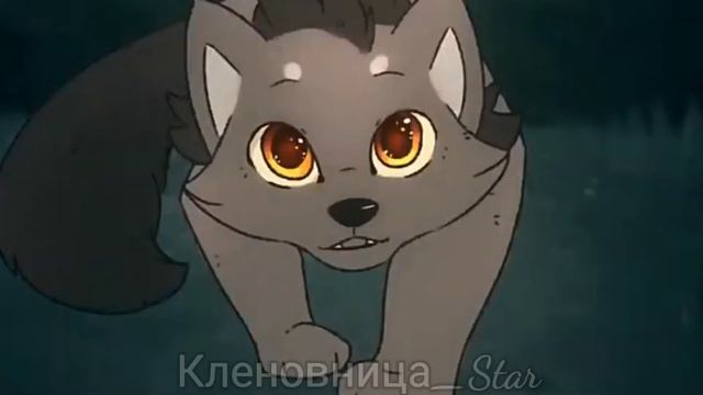 Топ 5 ПОПУЛЯРНЫХ КОТОВ-ВОИТЕЛЕЙ/ смотреть онлайн