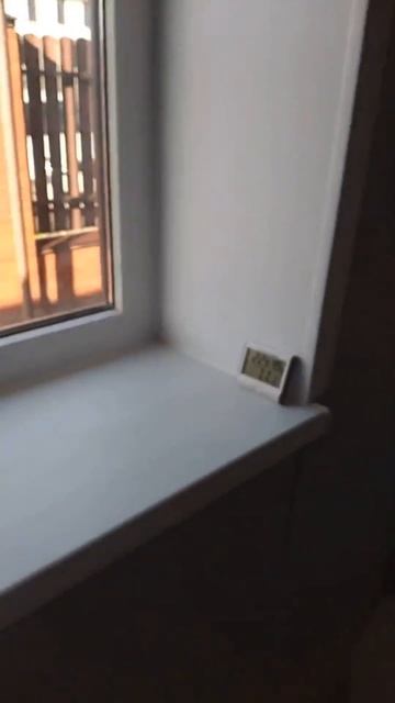 плесень на откосах