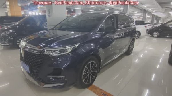 ✅Roewe iMAX8