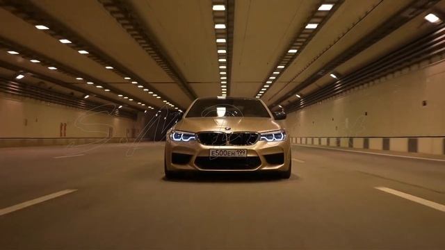 Максим Куст - Вишня (Премьера трека, [VIDEO], 2025) смотреть онлайн