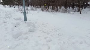 Свекровь решила унизить невестку при гостях. Никто не ожидал, что выйдет в итоге
