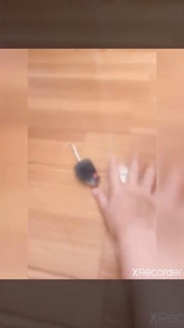 Мышка вернулась! Кошка рада! смотреть онлайн