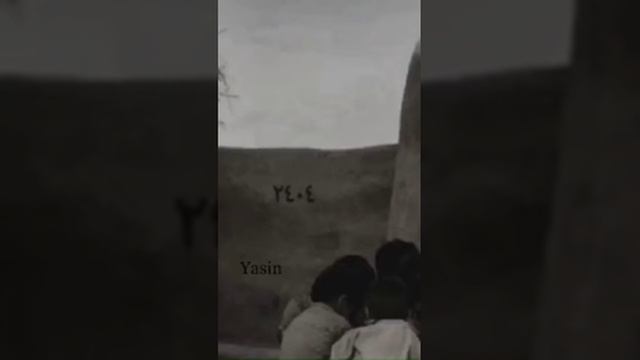 🌿🥀 хороший друг никогда тебе не бросит🖤🦁 смотреть онлайн