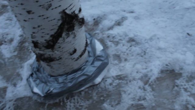 Строим дом на дереве №10 (юбилейная 10-ая чать и 100-е виде смотреть онлайн