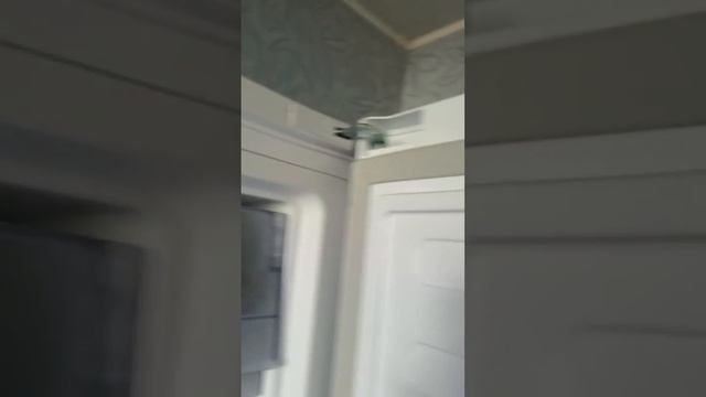 АЛЛО Покупка Морозильна Камера Beko RFNE312K21W АЛЛО Застосу? смотреть онлайн
