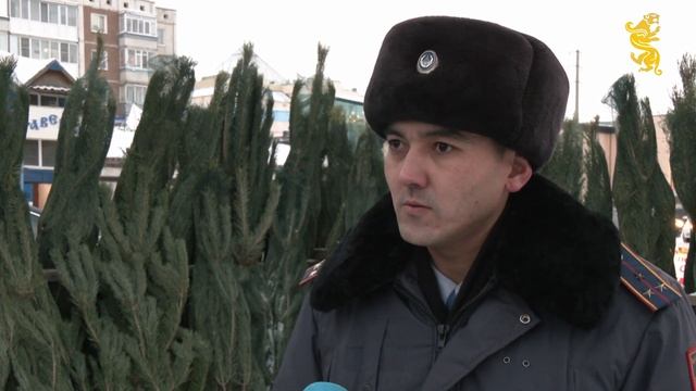 С 15 по 31 декабря на территории Акмолинской области про смотреть онлайн