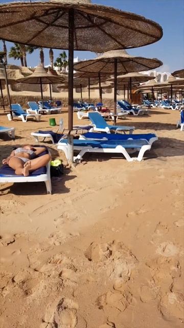 Погода в Египте. Пляж в Шарм-эль-Шейх смотреть онлайн