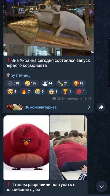 Мем #123 всё это есть в тг канале ⚡Пипец24⚡ смотреть онлайн