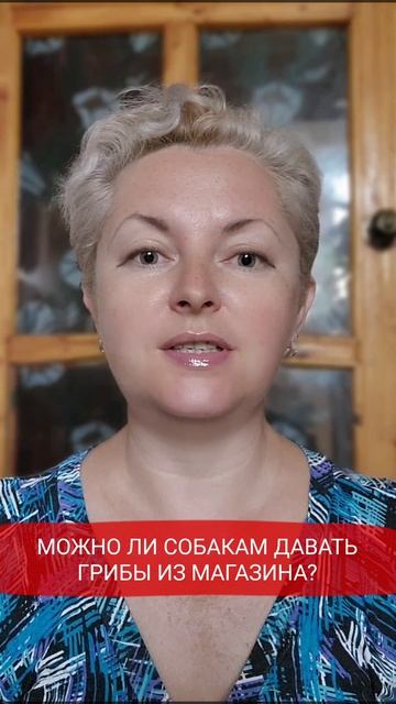 🐕📝🐾 Можно ли собакам давать грибы из магазина? смотреть онлайн