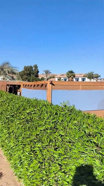 2024-12-25 Египет Шарм-эль-Шейх смотреть онлайн