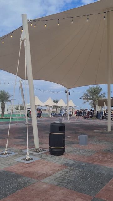 остров Сир Бани Яс 2023г.3 января смотреть онлайн