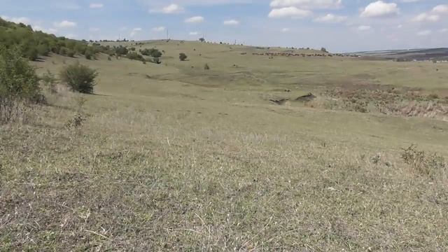 Сравнение Мотоциклов Кавасаки КМХ-200 с CZ-250 (Чезетом) смотреть онлайн