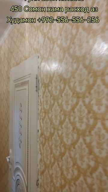 #топ #love #душанбе #обои #гули #заказ #youtubeshorts #like #таджики? смотреть онлайн