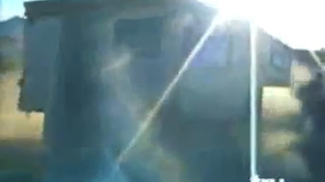 Мега прикол супер-пупер видео оленей смотреть онлайн