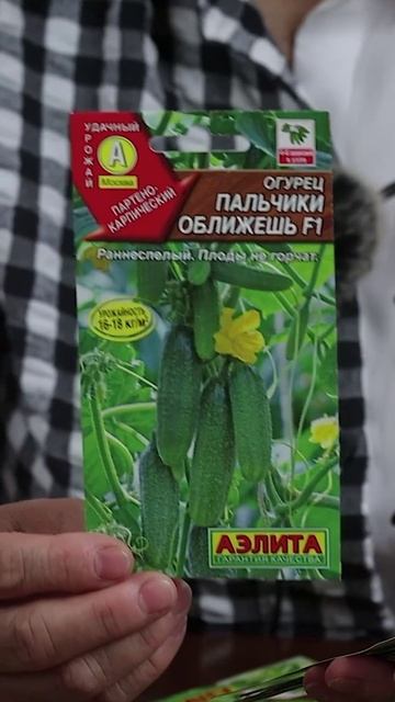 МЕЛКОБУГОРЧАТЫЕ ОГУРЦЫ 🥒 Наша подборка 2025 смотреть онлайн