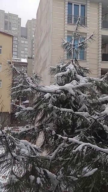 Снег в Стамбуле 14.02.21(2) смотреть онлайн