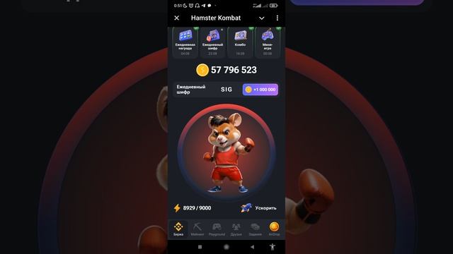 Новый ежедневный шифр на 4-5 августа в Хамстер Комбат | Секретный Шифр HAMSTER KOMBAT (Азбука Морзе