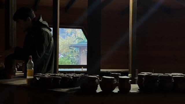 СОЧИ В НОЯБРЕ. Собираем 🍊мандарины, едем в Абхазию. Гу смотреть онлайн