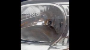 BI-LED Лампы H4  линза. для лада ларгус!