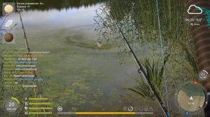 RF4 Комариное Трофей [Лещ / Ротан]