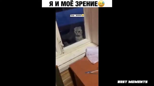 ЗАСМЕЯЛСЯ ПОДПИСАЛСЯ!! ЛУЧШИЕ ПРИКОЛЫ I 532 СЕКУНДЫ СМЕХА TRY NOT TO LAUGH приколы 2020 смотреть онлайн