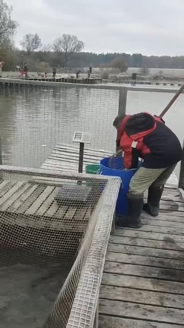 Запуск 18.10. Ждем всех в гости! #платник #отдыхдлядуши #р?