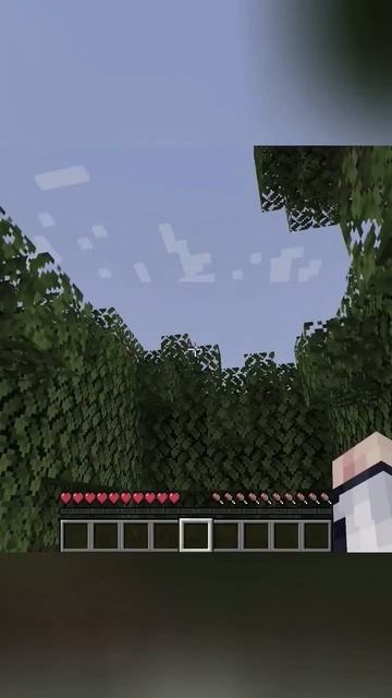 А это точно берёза? #майнкрафт #лололошка #нарезки смотреть онлайн