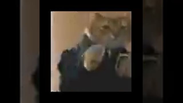 Маленький прикол смотреть онлайн