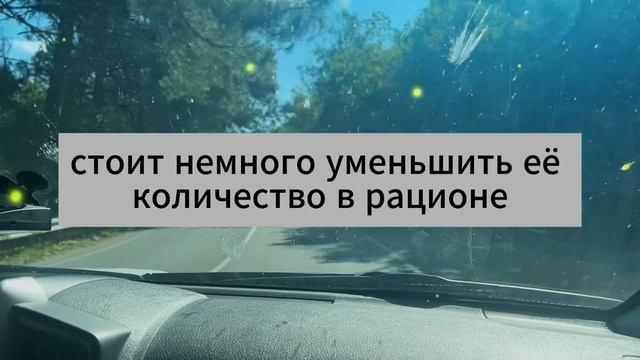 99% людей думают, что едят правильно! НО эти овощи могут смотреть онлайн